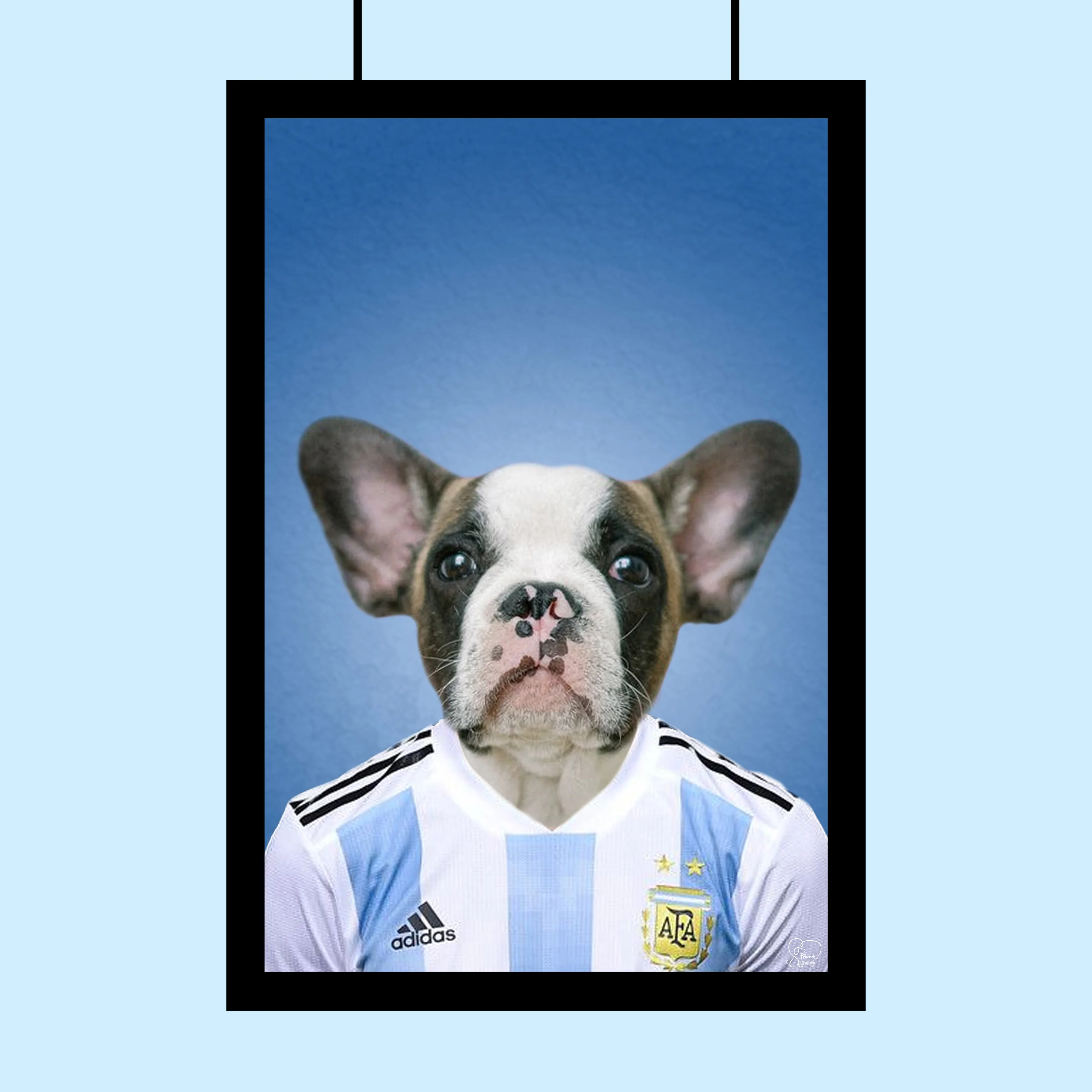 Argentinian Football Star Custom Pet Portrait | Personalized Pet Sports Art